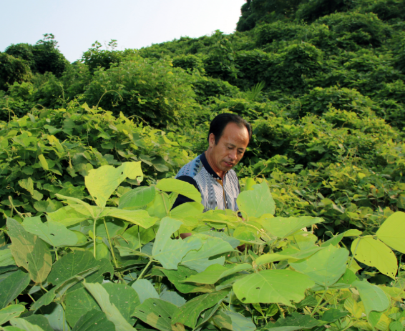 1744859088624471.png 基地.png