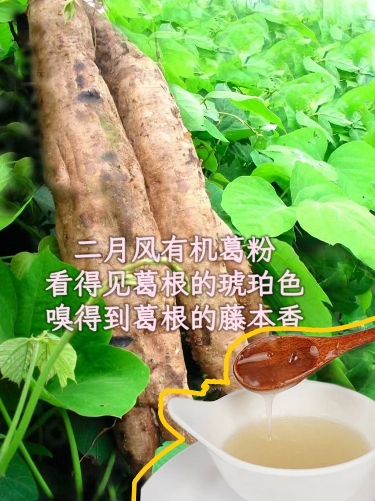 二月風(fēng)有機(jī)葛粉，看得見葛根的琥珀色，嗅得到葛根的藤本香_副本.jpg