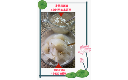 野生葛粉不拉絲就是假的！請問是真的嗎？