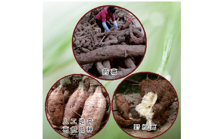 買葛粉是買野生的好？還是野生有機的好？